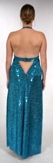 Party Gown back